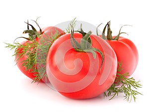 Three tomato vegetables and dill leaves still life
