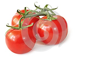 Three Tomatoes