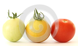 Three tomatoes colorful on white background