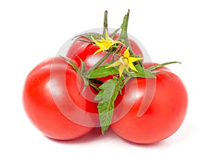 Three tomatoes with leaves and flower isolated on white background