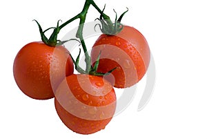 Three tomatoes with water drops