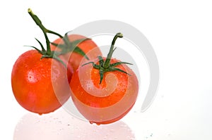 Three Tomatoes on White