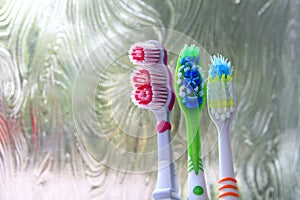 Three toothbrushes in the early morning light