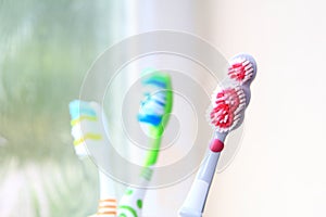 Three toothbrushes in the early morning light