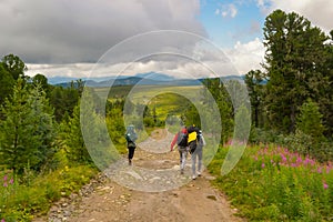 Three tourists with backpacks go on the road covered with stones