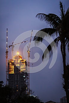 Three tower cranes builds a skyscraper in a tropical climate