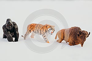Three toy bison, tiger and gorilla on a snowy background.