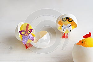 Three toy chickens with glasses in eggshells on a white background