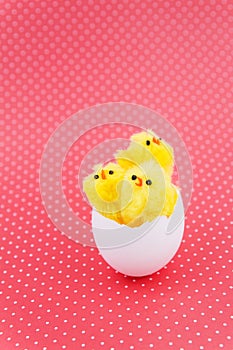 Three toys chicken in egg shell
