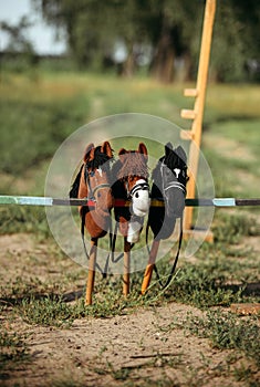 Three toys for hobbyhorsing. Toys stand on the obstacle for jumping photo