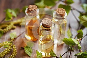 Three transparent bottles of aromatherapy essential oil with birch tree branches with catkins and young leaves harvested in spring