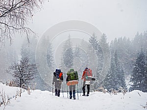 Three travelers in the winter forest walk along the trail in heavy snow