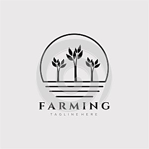 Three tree farming logo vector illustration design