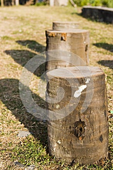 Three tree stumps