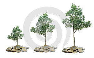Trees growing from pile of coins