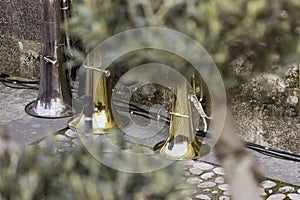 Three trombones placed behind a tree