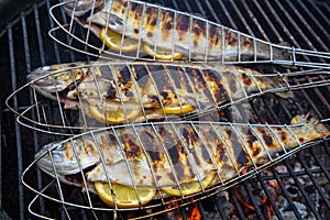 Tasty trouts on a garden grill