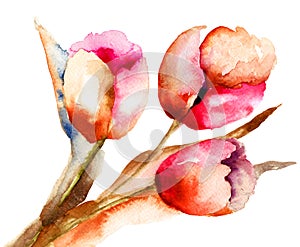 Three Tulips flowers