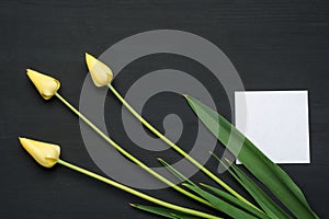 Three tulips on grunge wooden background with empty paper