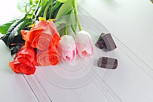 Three tulips on a white background