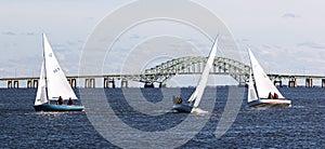 Three two person sailboats in front of the Great South Bay bridge on a windy December afternoon