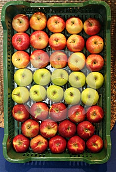 Three types of apples on the retail market