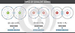 Three types of covalent bonds including single, double, and triple bonds