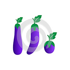 Three types of eggplants for the icon