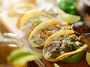 Three types of mexican street tacos with barbacoa, carnitas and ChicharrÃÂ³n photo