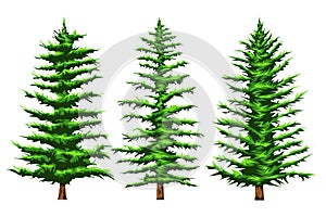 Three types  pinetrees