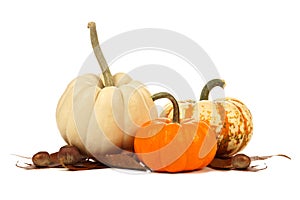 Three unique autumn pumpkins with leaves over white