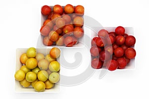 Three varieties of cherry-plum