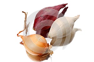 Three varieties of onion seeds