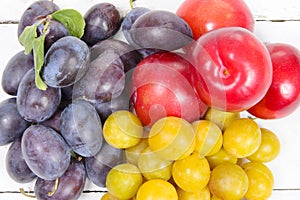 Three varieties of plums