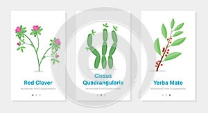 Three vector banners of food suplements. Isolated vertical onboarding templates with botanical pictures