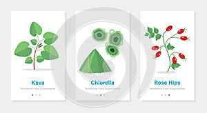 Three vector banners of food suplements. Isolated vertical onboarding templates with botanical pictures