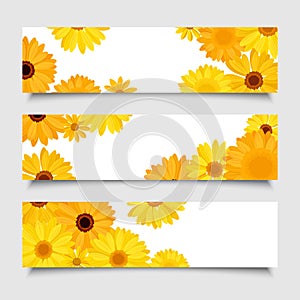 Three vector banners with orange and yellow gerbera flowers.