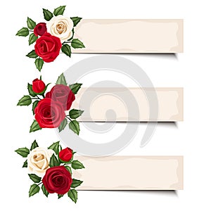 Three vector banners with red and white roses.