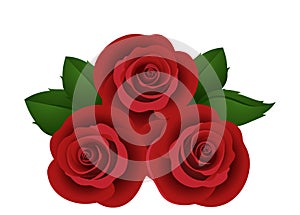 Three vector red roses.