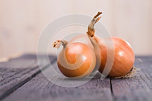 Three vibrant ripe onions photo