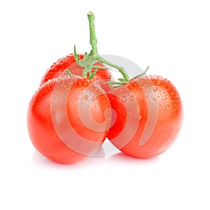 Three Vine fresh juicy tomato with water droplets