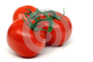 Three Vine Tomatoes Isolated