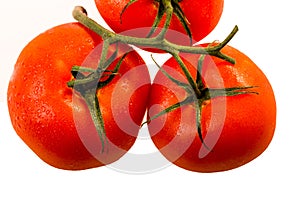 Three Vine Tomatoes on White Background