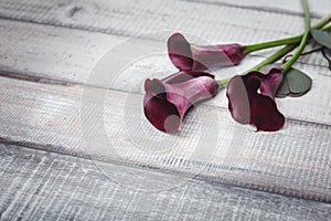 Three violet callas lie on a wooden table, space for text