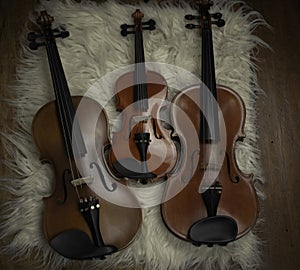 Three violins put on background,show detail and different size