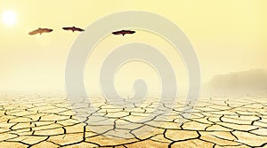 Three vultures flying over a desert