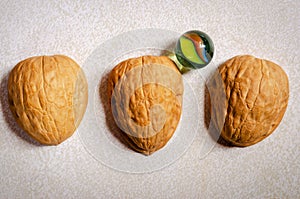 Three walnut shells and a marble for a shell game