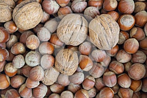 Three walnuts in a sack of hazelnuts