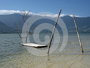 Three in water and moutains in the backgrond photo