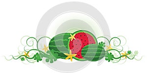 Three Watermelons photo